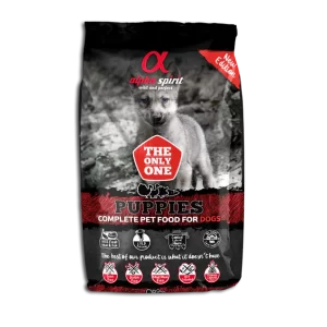 Alpha Spirit The Only One Puppies